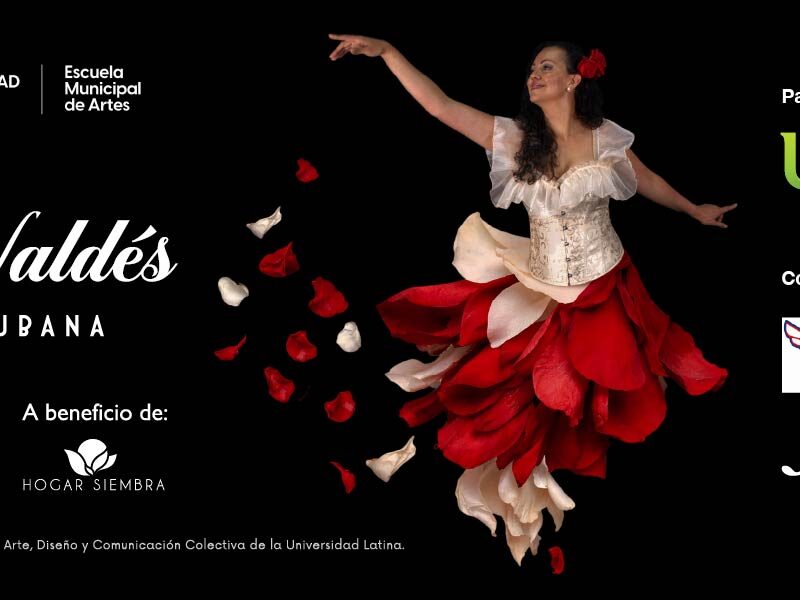 Entrada 29 Agosto